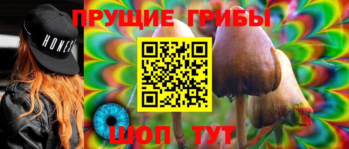 Мирный  Галлюциногенные грибы ЛСД  Галлюциногенные грибы Psilocybine cubensis  Вход с VPN 