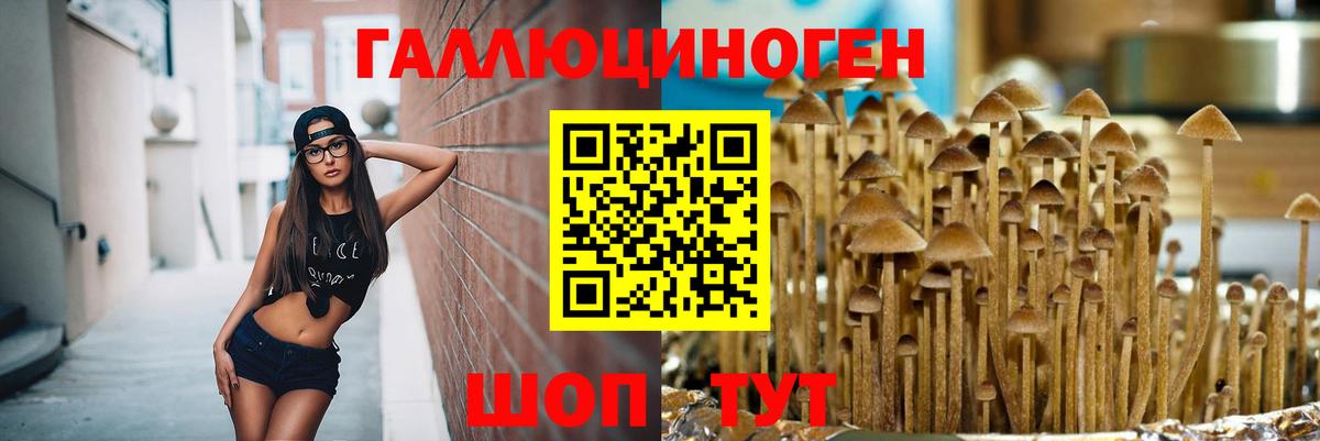 Галлюциногенные грибы Psilocybe Мирный
